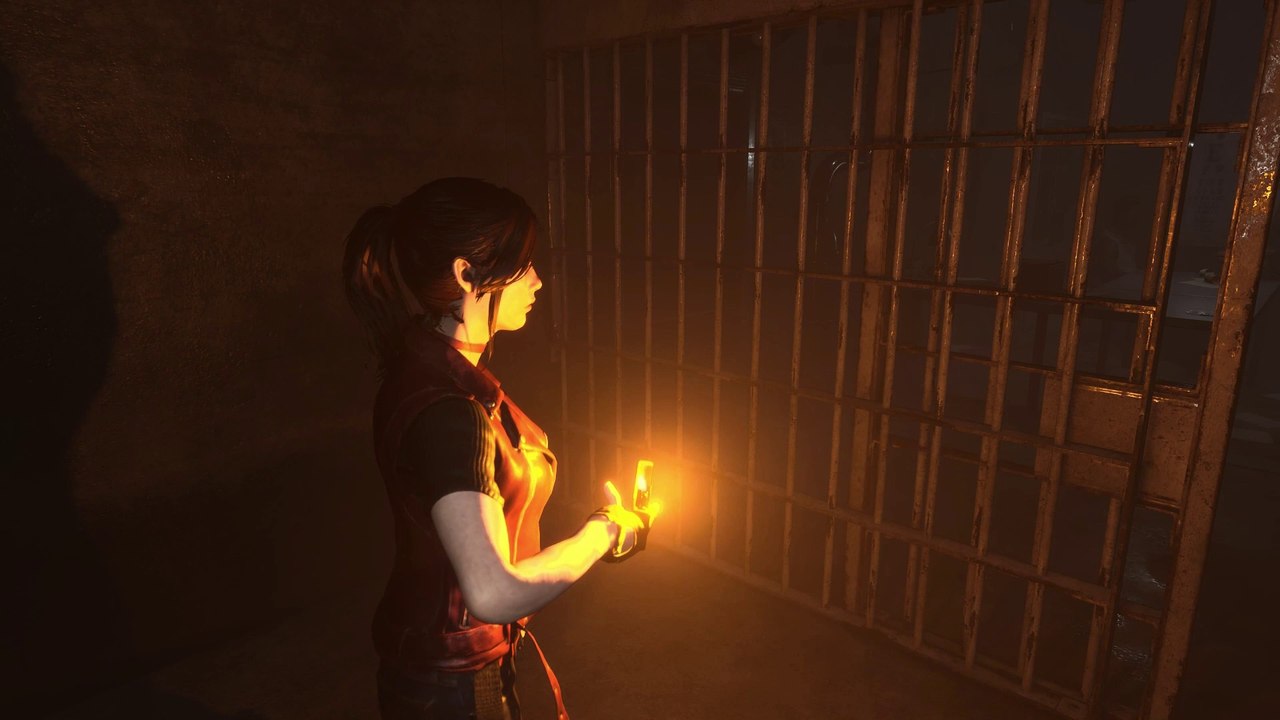 Resident Evil Code Veronica X Remake Fan