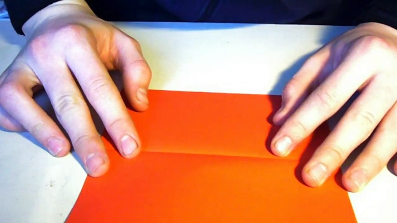 Origami Crane