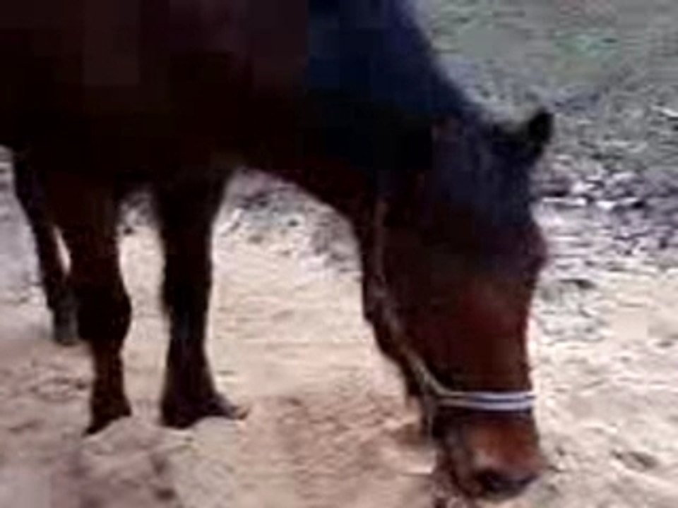 Marco & le sable (2)