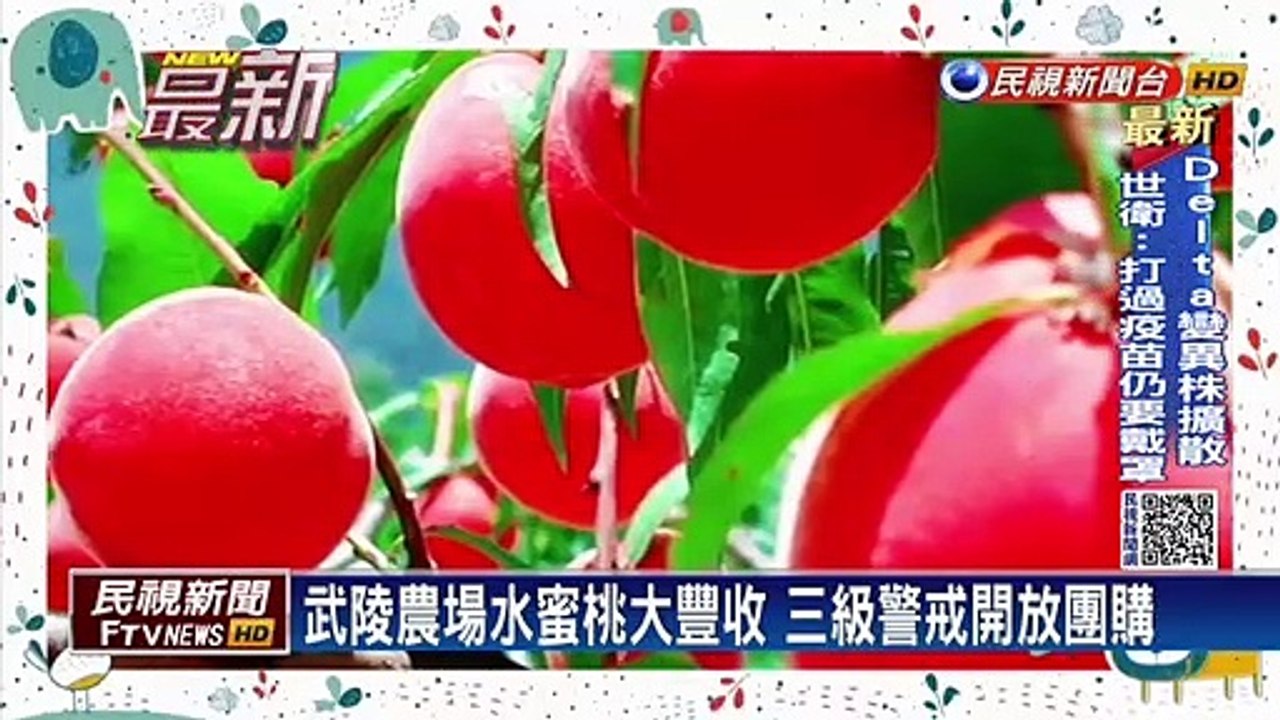 武陵農場創QRcode「水蜜桃身份證」 團購超熱銷