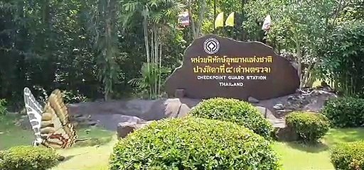 สระแก้ว - หลอกขายน้ำผึ้งป่า" อ้างชื่อหน. อุทยานปางสีดานำน้ำผึ้งป่าที่คดีสิ้นสุดไปเร่ขาย