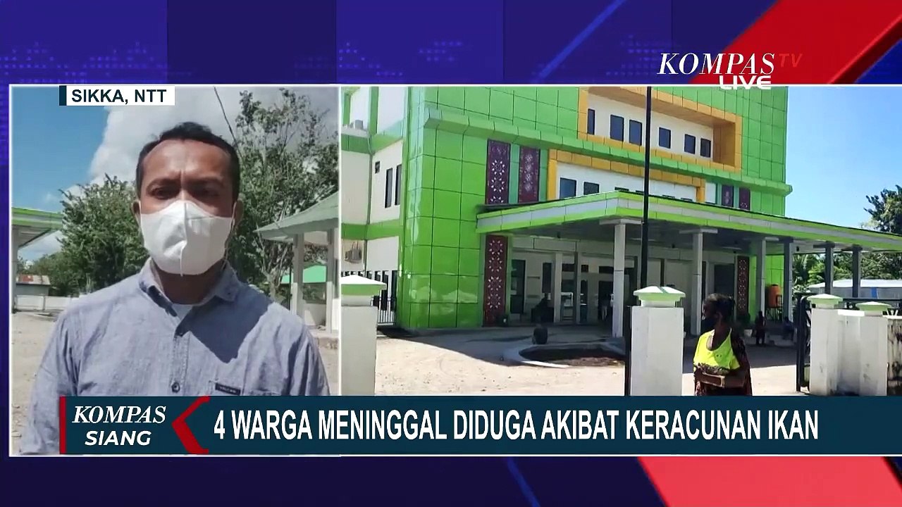 Belasan Warga Sikka Diduga Keracunan Ikan Buntal, 4 Meninggal Dunia
