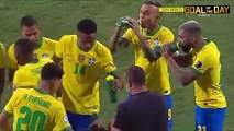Brazil vs Ecuador 1-1 - All Goals & Extended Highlights - 2021