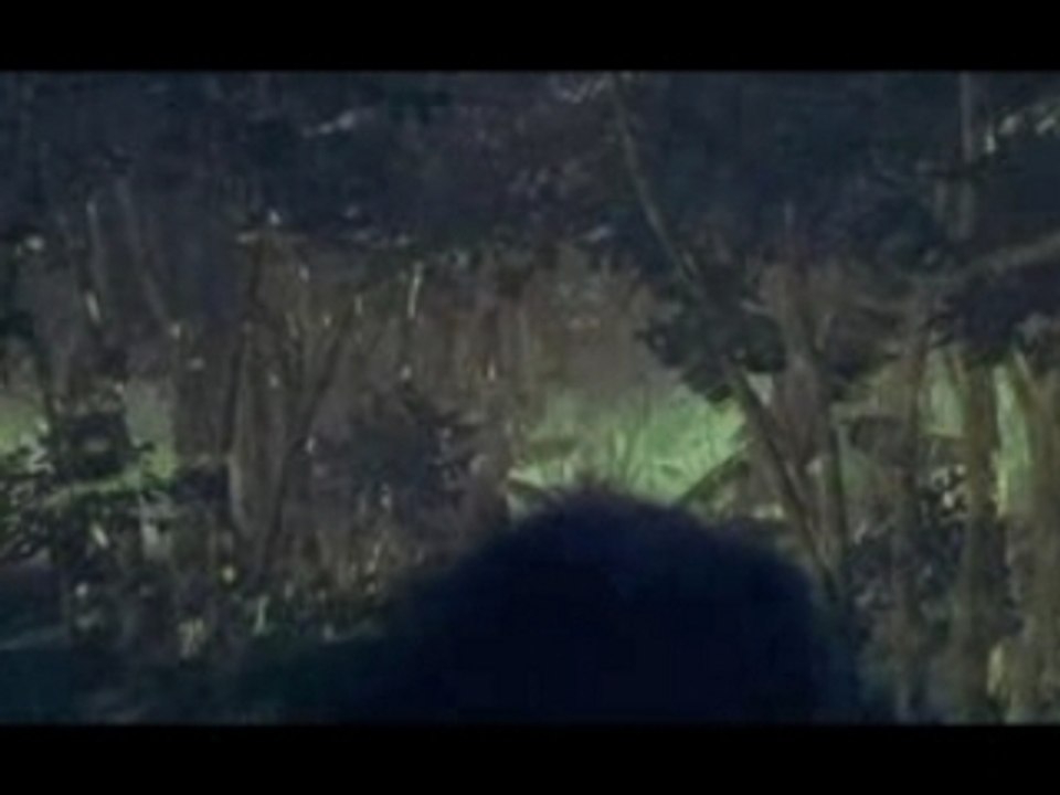 Lost - Le trailer