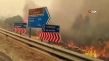- Güney Kıbrıs’taki orman yangınında ölü sayısı 4’e yükseldi