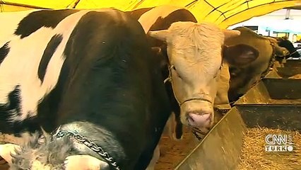 TESK'ten Kurban Bayramı uyarısı