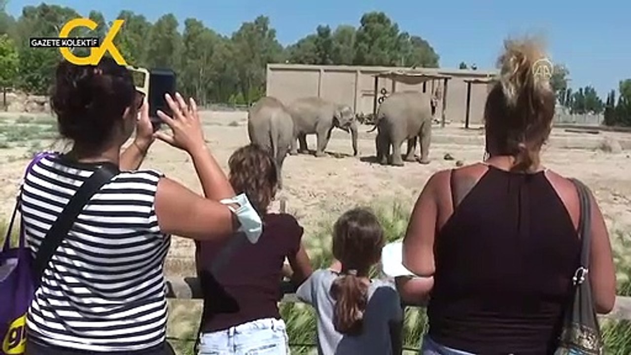 İzmir Doğal Yaşam Parkı'nda dünyaya gelen yavru fil ilk kez bahçeye çıkarıldı