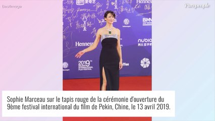 Sophie Marceau si discrète, après une jeunesse "violente" : "Ça a été très violent au départ"