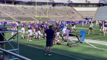 Huskies on the Sled