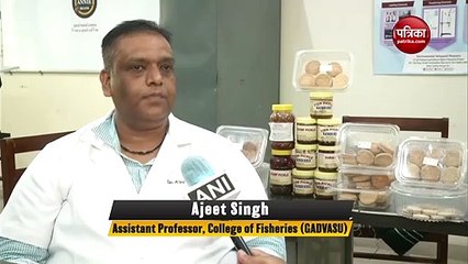 कॉलेज ने बनाए मछली से बनाए गए हाई प्रोटीन बिस्किट्स