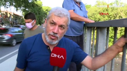 İstanbul'da domuz izleme tribünü! Mahalleye kadar iniyorlar: Her şey 4-5 yıl öne başladı...