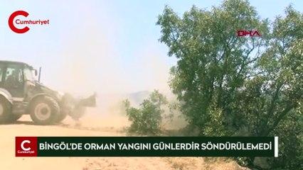 Bingöl'de orman yangını günlerdir devam ediyor: 1000 dönümlük alan zarar gördü
