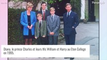 William et Harry laissés seuls : le prince Charles manquera l'inauguration de la statue de Diana