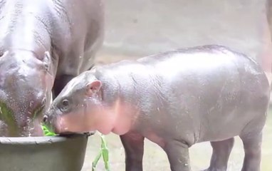 เรื่องพลบค่ำ ช่วงที่ 4 วันจันทร์ที่ 28 มิ.ย.64