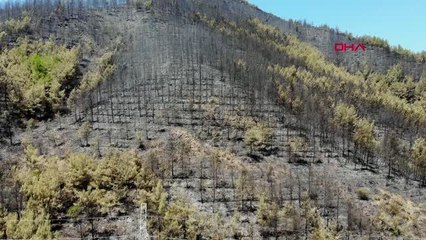 Son dakika haber: MUĞLA MARMARİS'TEKİ YANGINDA, ALEVLER OTELİN LPG TANKINA 50 METRE KALA SÖNDÜRÜLMÜŞ