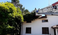 Pordenone - Maltempo e alberi crollati: oltre 70 interventi dei Vigili del Fuoco (28.06.21)