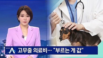 동물병원 고무줄 의료비…“같은 증상도 부르는 게 값”
