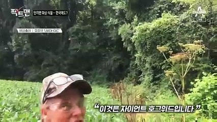 [팩트맨]“위험한 독성 식물, 국내 유입됐다”? SNS 글, 사실일까