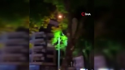 Ağaçları kesen otel görevlileri için belediye ekipleri harekete geçti