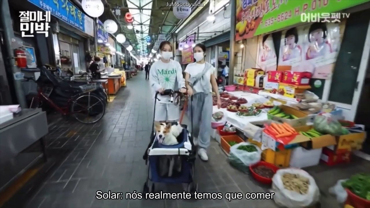 [PT-BR] EP 3 Sobre Pet - Solar e Moonbyul