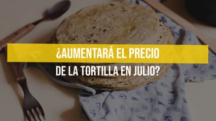 ¿Aumentará el precio de la tortilla en julio?