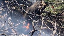 Bingöl Valiliği: “Yaklaşık 2 bin-2 bin 500 hektar alanın yangından etkilendiği değerlendirilmektedir”