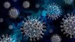El coronavirus azotó hace 20,000 años, según muestra evidencia de ADN