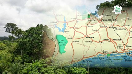 IFFN_FILM3_"Les résultats"