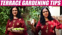 நடிகை ஊர்வசியின் வீட்டுத்தோட்ட டிப்ஸ்! Actress Urvasi Terrace gardening tips
