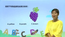 14颜色purple  brown  pink|小学英语|三年级上|知识点