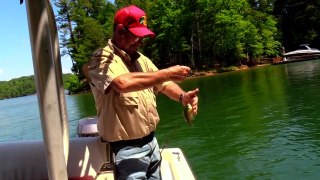 Bream Fishing on Lake James