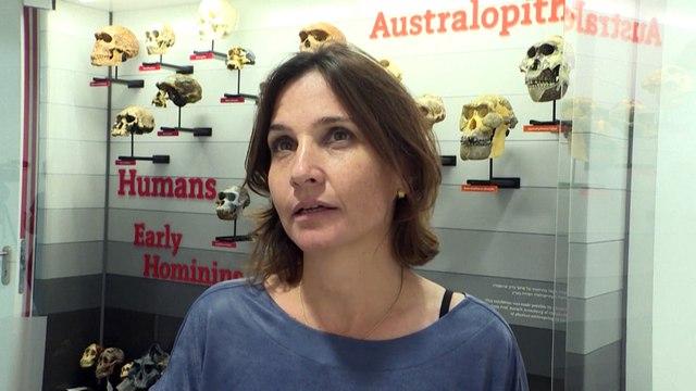 Neanderthals discovery: Bones found in Israel 'from last survivors of once very dominant group'