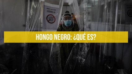 Hongo Negro: ¿Qué es?