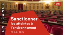 Le Sénat ne veut pas du délit d'écocide