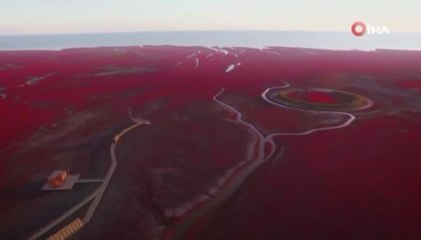 Çin'de Kızıl Plaj'da müzik festivali