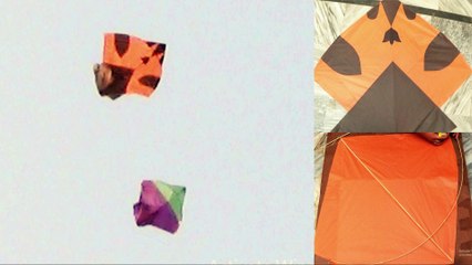 how to make 2 Tawa kite and kite flying at home