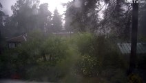 Flash of Lightning Strikes in Backyard on Rainy Day
