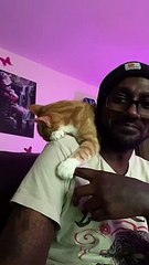 Cuddly Kitty Clutches Owner's Finger