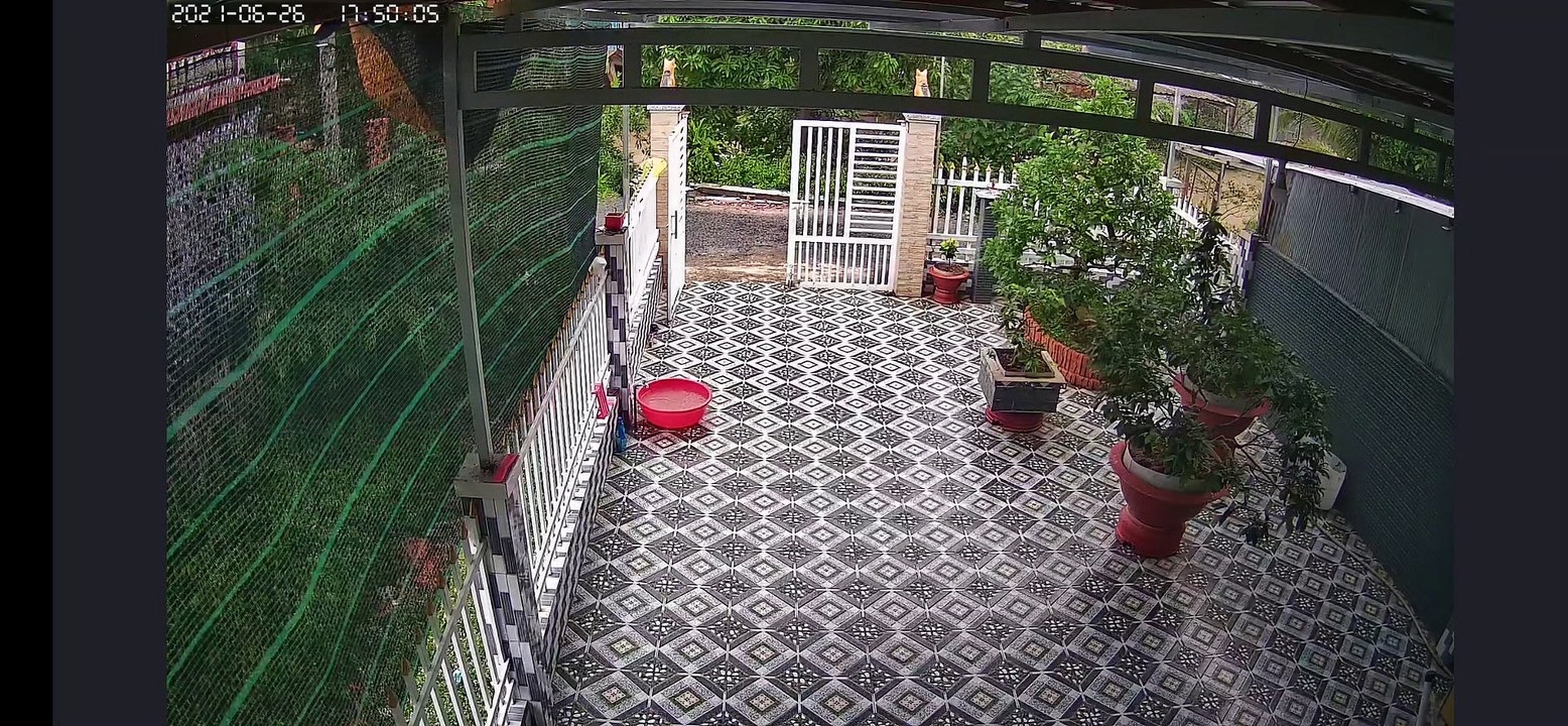 Slippery Floor Makes Entire Family Fall