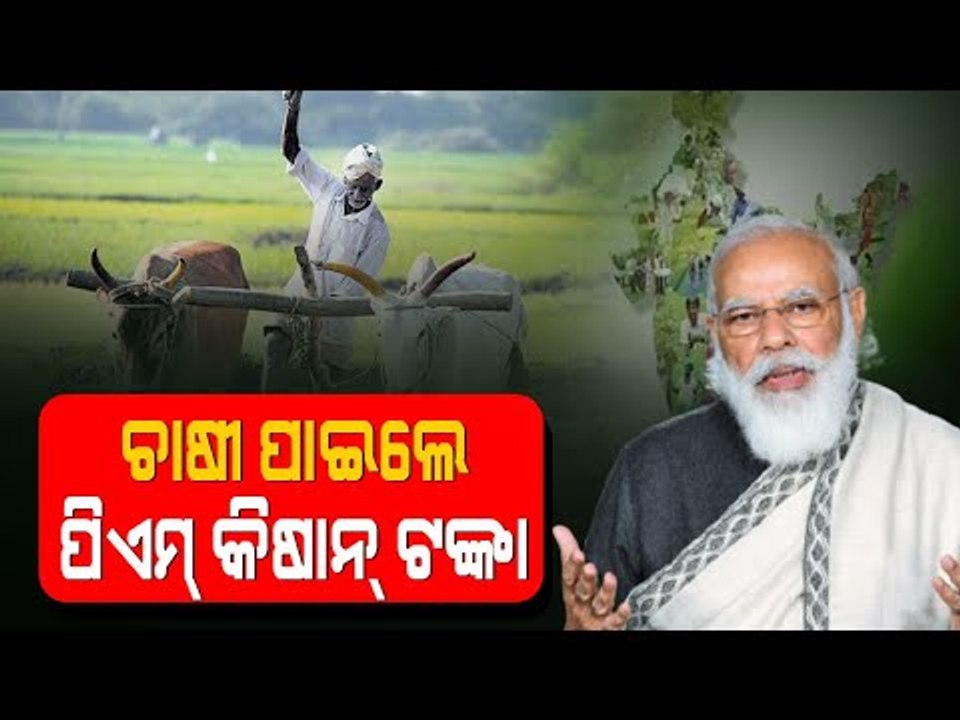 PM Modi Releases Rs 19,000 Crore Under PM-KISAN scheme For Farmers
