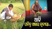 Farmers Celebrate Akshaya Tritiya In Odisha | Updates From Kendrapara