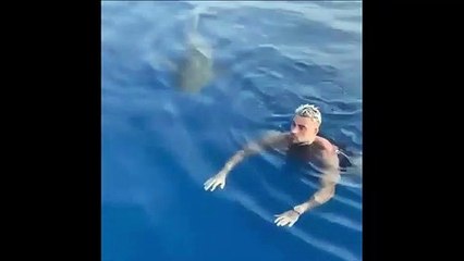 Ce touriste rencontre un requin... pas rassurant