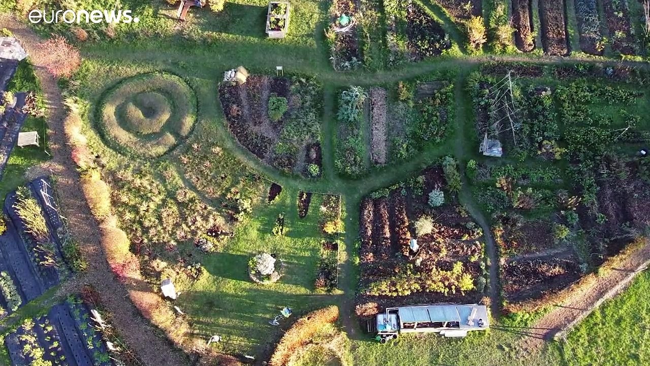 EU-Agrarministerrat einigt sich auf CAP-Reform