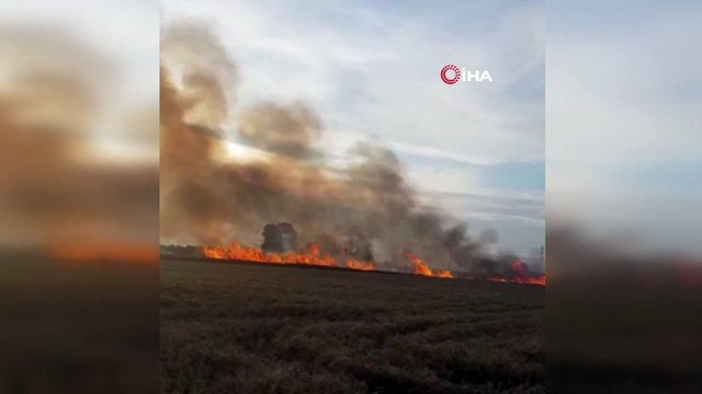 Yüksek gerilim hattı koptu, buğday tarlası alev alev yandı