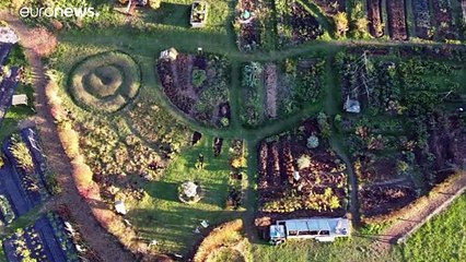 Аграрная реформа ЕС: эффективнее, справедливее, чище