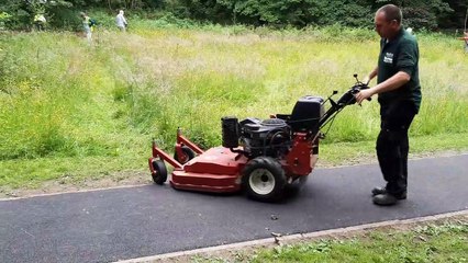 Bingham Park windflowers area  created by volunteers