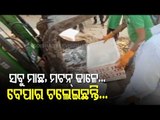 COVID Norms Violation | Meat Shops Sealed In Rourkela | Odisha
