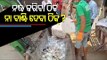 COVID Norms Violation | Fish, Meat Shops Sealed In Rourkela