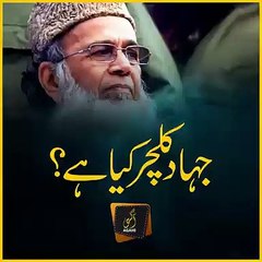 Syed Munawar Hasan