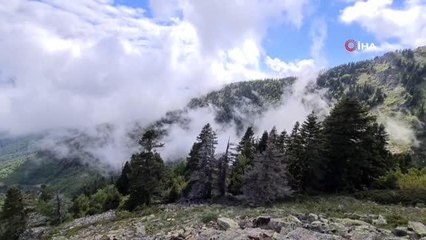 Marmara Denizi'ne zehir akıtan o derenin kaynağı tertemiz